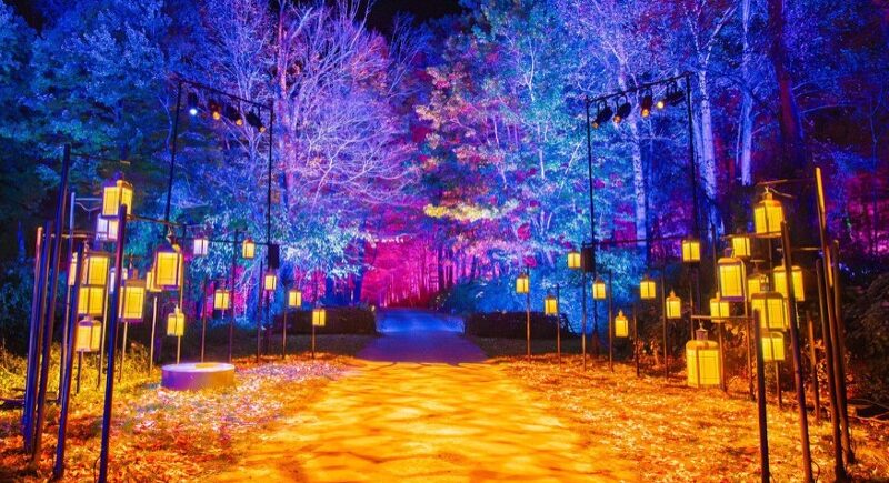 Harry Potter el Bosque Olvidado Chile