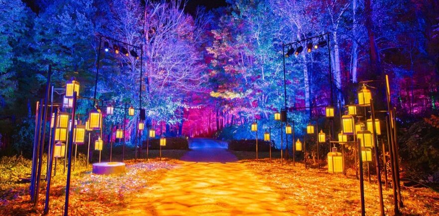 Harry Potter el Bosque Olvidado Chile