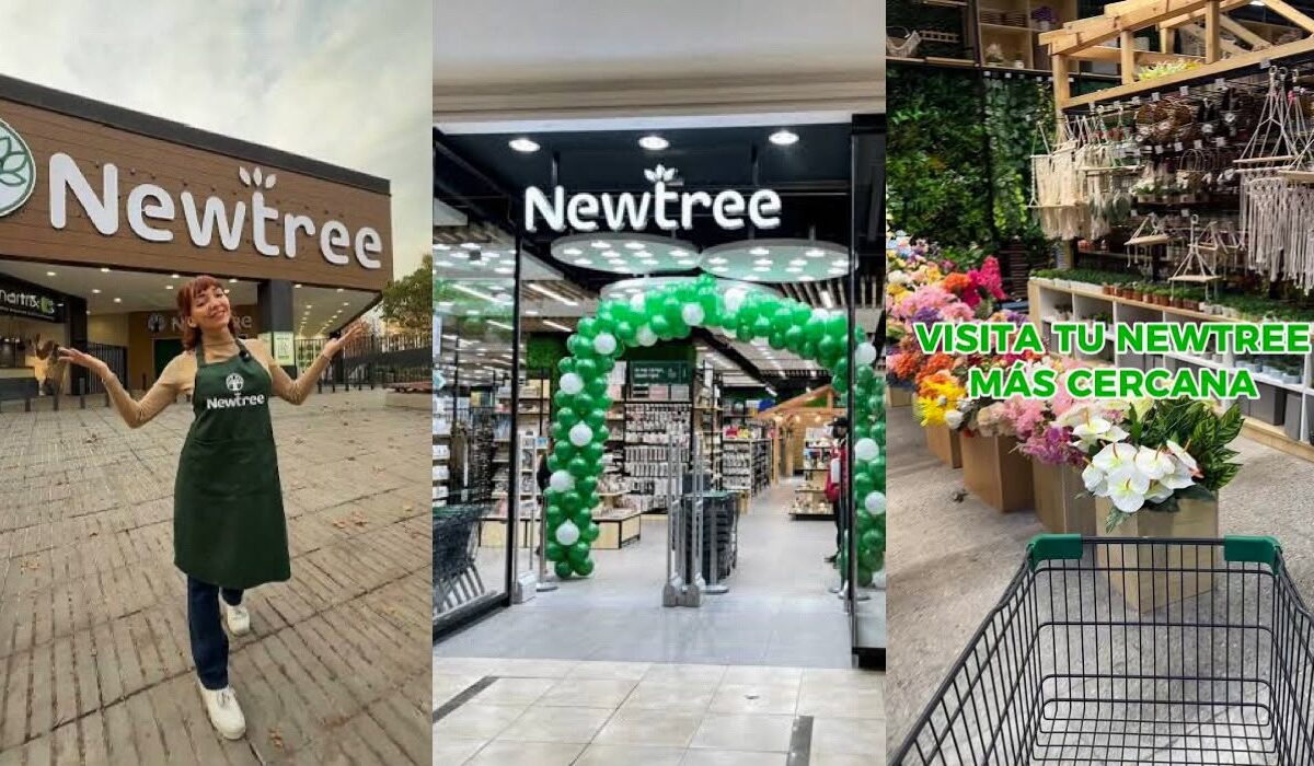 Newtree siete años celebración