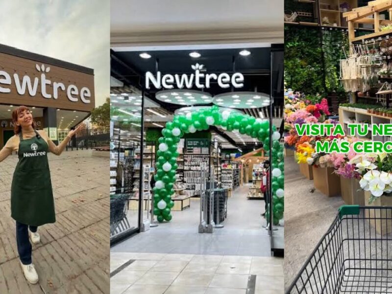 Newtree siete años celebración