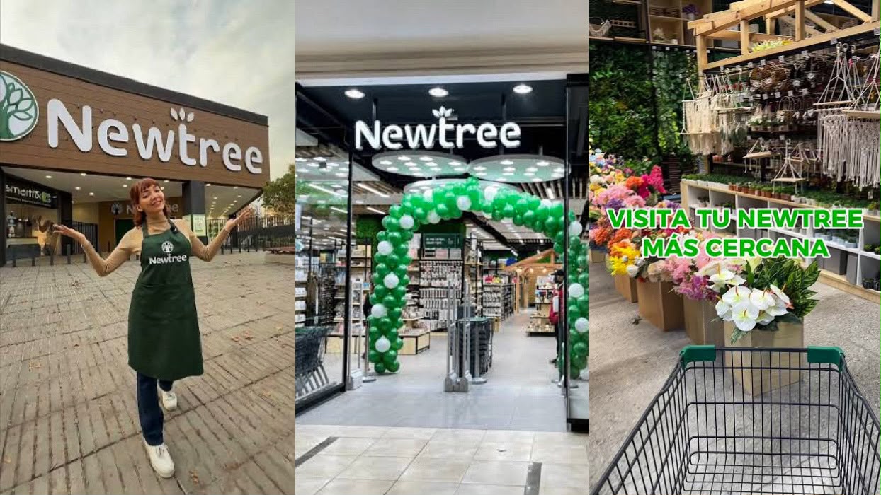 Newtree siete años celebración